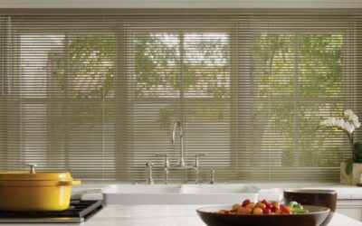 Aluminum Blinds can be a good choice.
